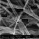 CNT (carbon nanotube) growing